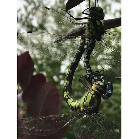 Spessart Romanticism 펜션 *