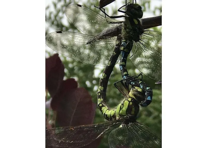 Spessart Romanticism Vakantiehuis *